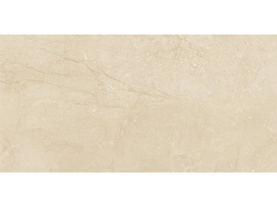 Altai Beige 60x30
