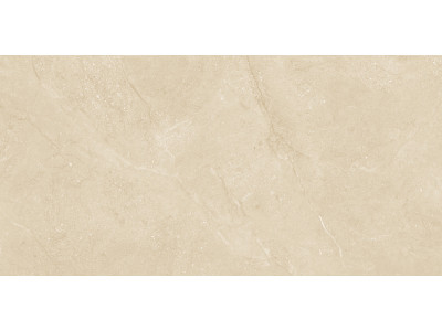 Altai Beige 60x30