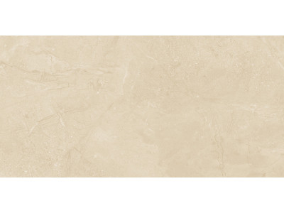 Altai Beige 60x30