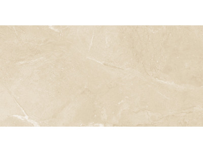 Altai Beige 60x30
