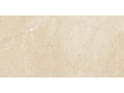 Altai Beige 60x30