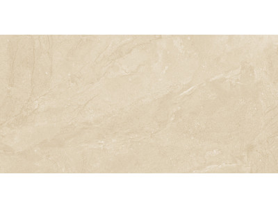 Altai Beige 60x30