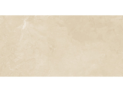 Altai Beige 60x30