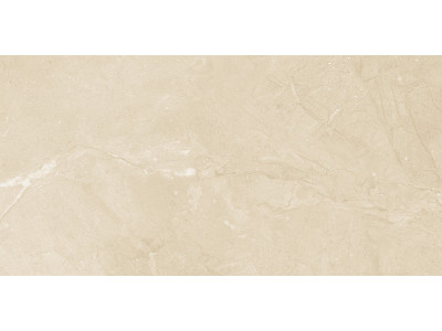 Altai Beige 60x30