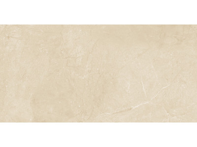 Altai Beige 60x30