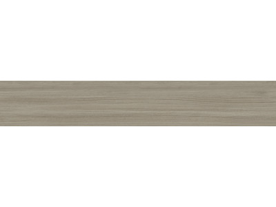 Citywood Gray 120x20