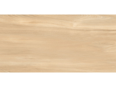 Goa Bronze 60x30