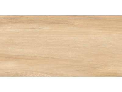 Goa Bronze 60x30