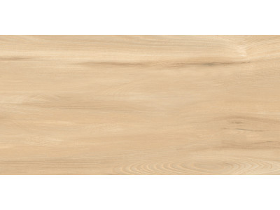 Goa Bronze 60x30