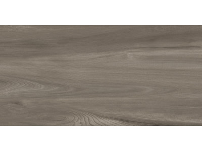 Goa Taupe 60x30