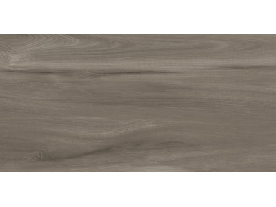 Goa Taupe 60x30