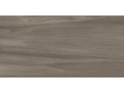 Goa Taupe 60x30