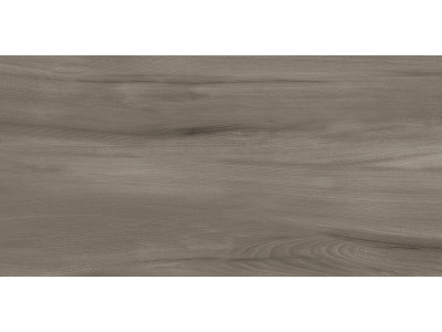 Goa Taupe 60x30