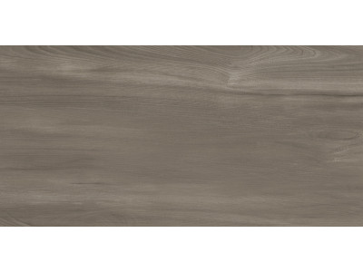 Goa Taupe 60x30