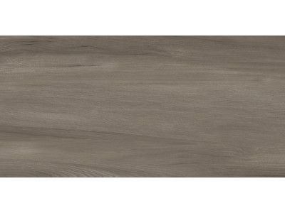 Goa Taupe 60x30