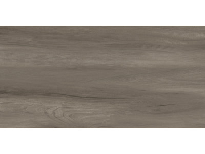 Goa Taupe 60x30