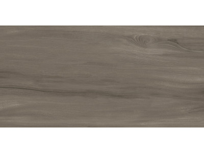 Goa Taupe 60x30