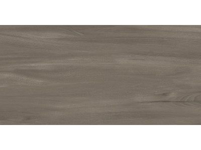 Goa Taupe 60x30