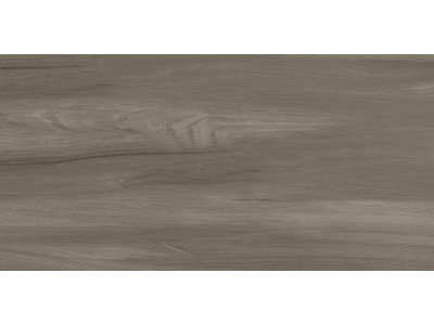 Goa Taupe 60x30