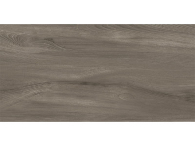 Goa Taupe 60x30