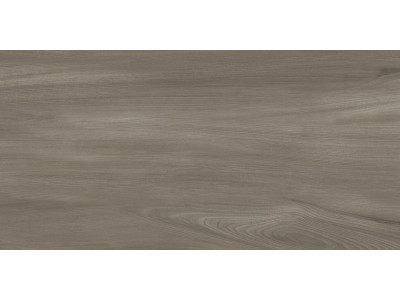Goa Taupe 60x30
