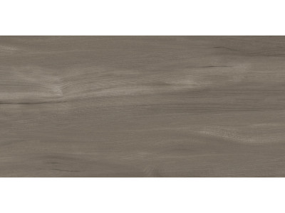Goa Taupe 60x30