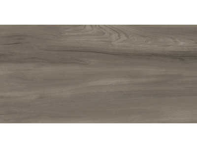 Goa Taupe 60x30