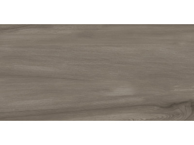 Goa Taupe 60x30