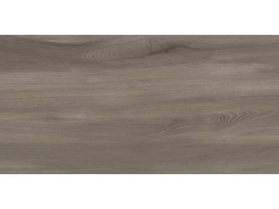 Goa Taupe 60x30