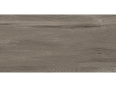 Goa Taupe 60x30