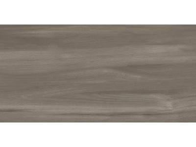 Goa Taupe 60x30