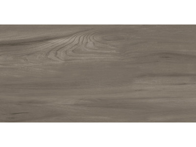 Goa Taupe 60x30