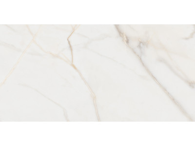 Pure Marble Gold 120x60