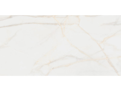 Pure Marble Gold 120x60