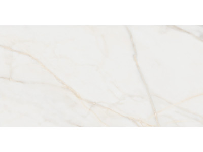 Pure Marble Gold 120x60