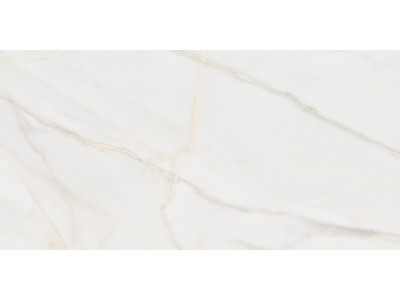 Pure Marble Gold 120x60