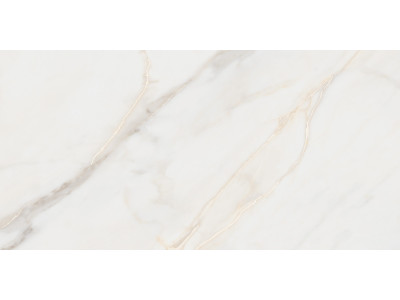 Pure Marble Gold 120x60