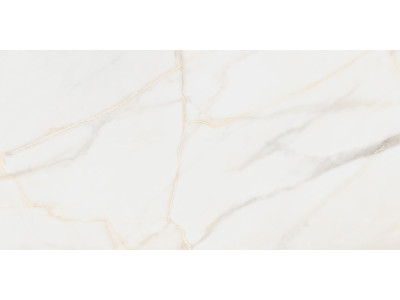 Pure Marble Gold 120x60