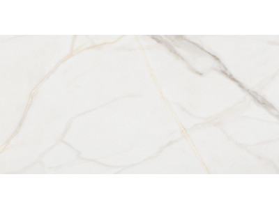 Pure Marble Gold 120x60