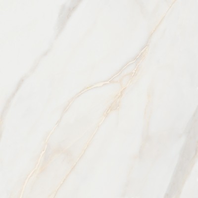 Pure Marble Gold 60x60