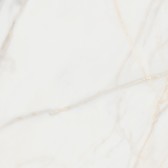 Pure Marble Gold 60x60