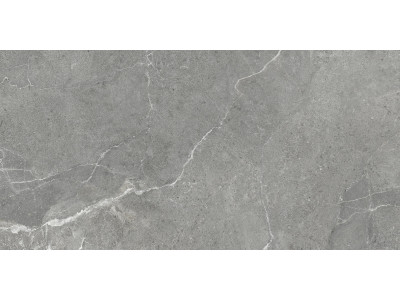 Titanium Gris 120x60