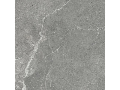 Titanium Gris 60x60