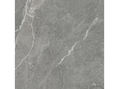 Titanium Gris 60x60