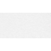 Absolute Ice 120x60

