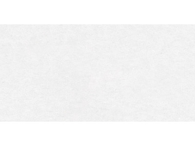 Absolute Ice 120x60

