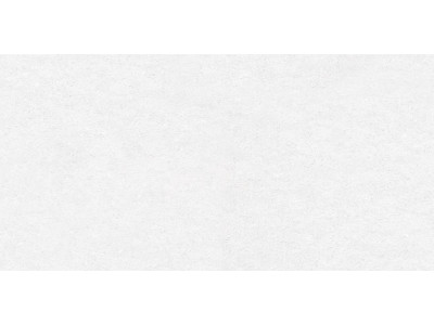 Absolute Ice 120x60
