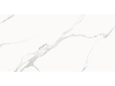 Calacatta Milazzo 120x60
