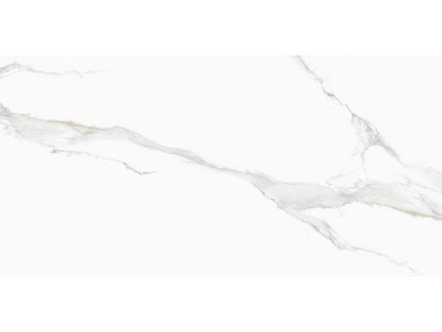Calacatta Milazzo 120x60
