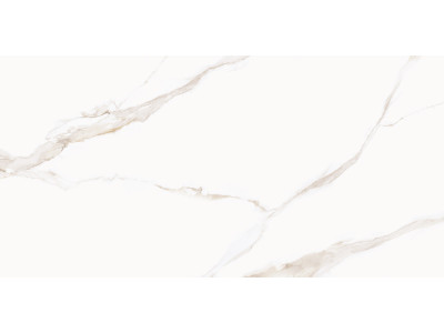 Calacatta Milazzo Gold 120x60

